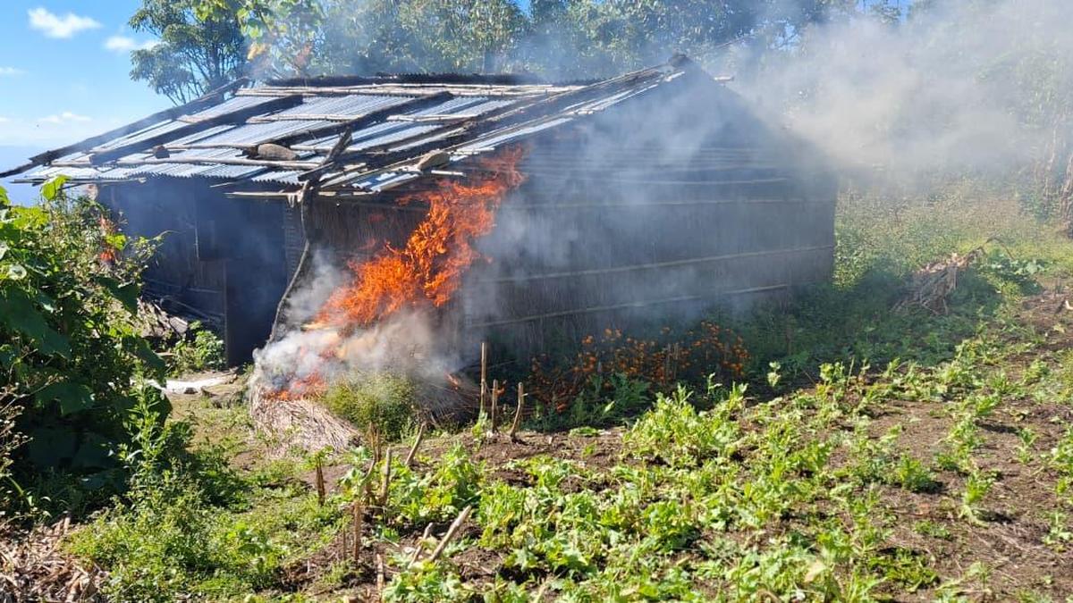 Nearly 18 acres of illegal poppy cultivation destroyed in Manipur